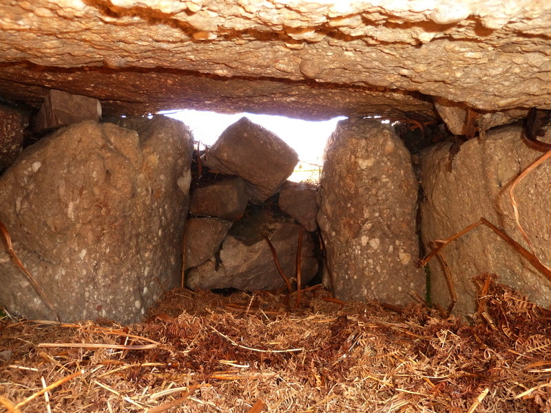 Nicholaston Long Cairn