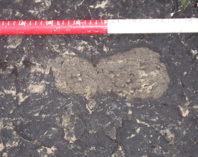 Click for full size image of Ancient Footprints on Kenfig Beach (PID:73704) Ancient Footprints on Kenfig Beach