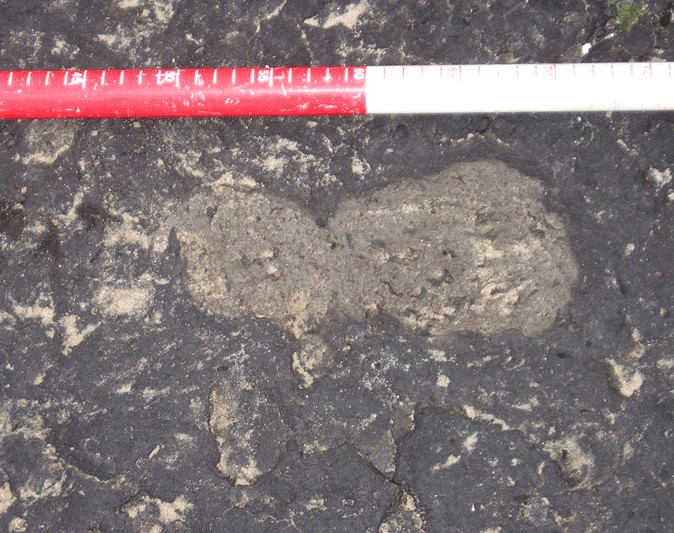 Ancient Footprints on Kenfig Beach