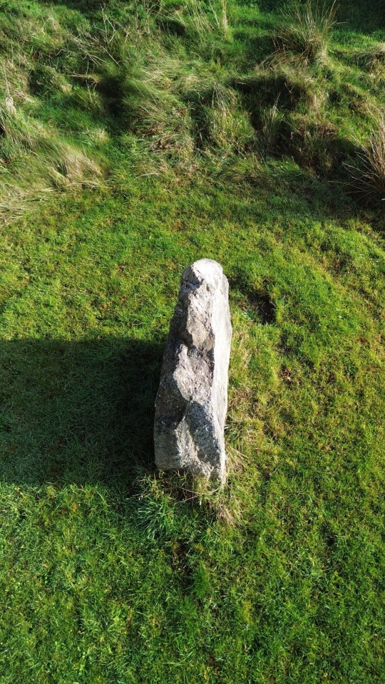 Click for full size image of Cockett Standing Stone (PID:298589) Cockett Standing Stone