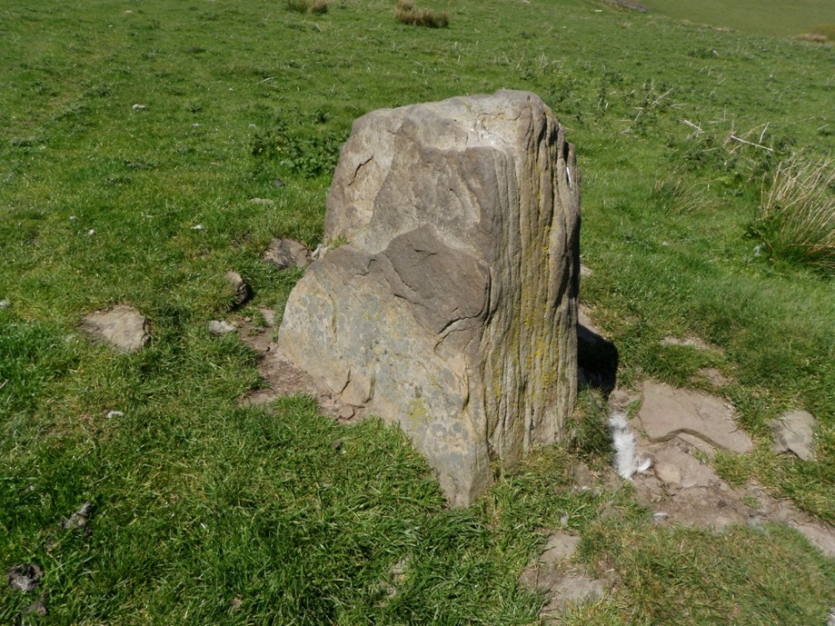 Mynydd Y Capel Standing Stone