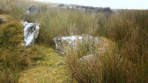 Carn Llechart Chambered Tomb