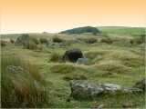 Click for full size image of Carn Llechart Cairn Circle (PID:8697) Carn Llechart Cairn Circle