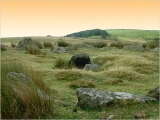 Carn Llechart Cairn Circle