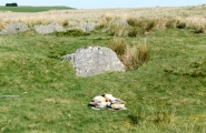 Click for full size image of Carn Llechart Cairn Circle (PID:137281) Carn Llechart Cairn Circle