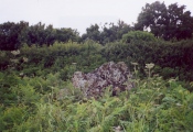Cottrell Park Standing Stone