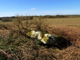 Click for full size image of Tythegston (PID:145757) Tythegston