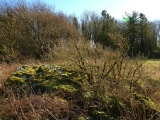 Click for full size image of Tythegston (PID:145759) Tythegston