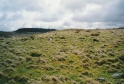 Mynydd Y Gelli submitted by Bladup