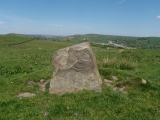 Mynydd Y Capel Standing Stone