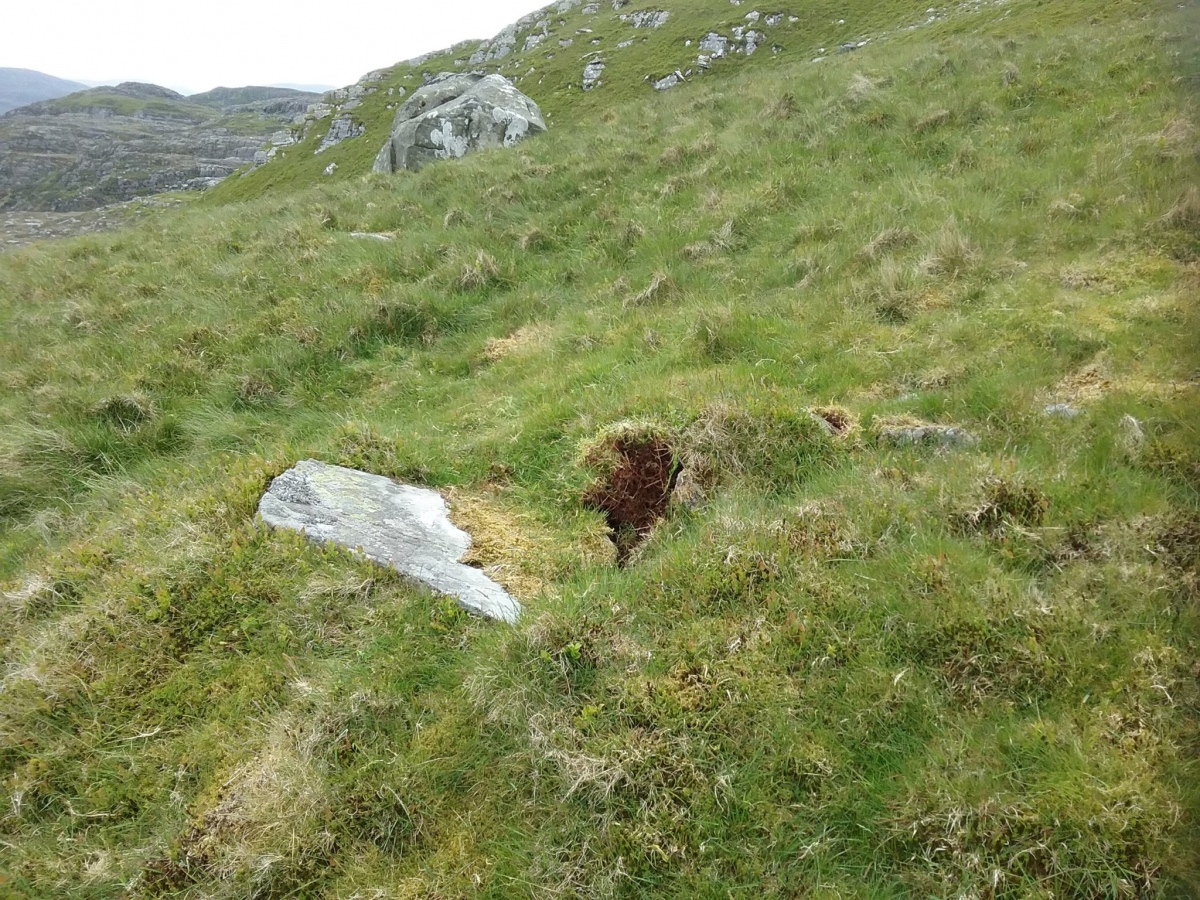 Click for full size image of Moel Ysgyfarnogod Cairn (PID:228242) Moel Ysgyfarnogod Cairn