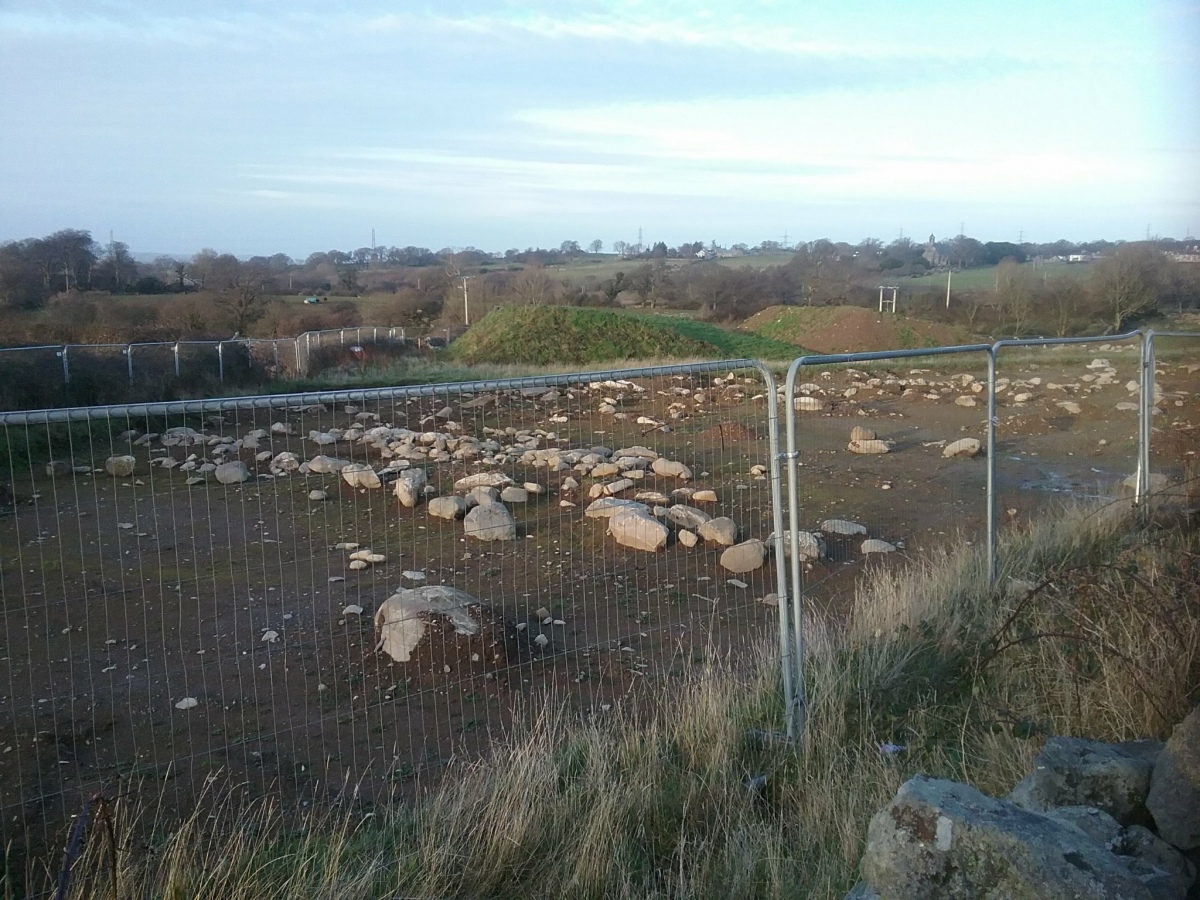 Maes Bleddyn Hut Circle Settlement