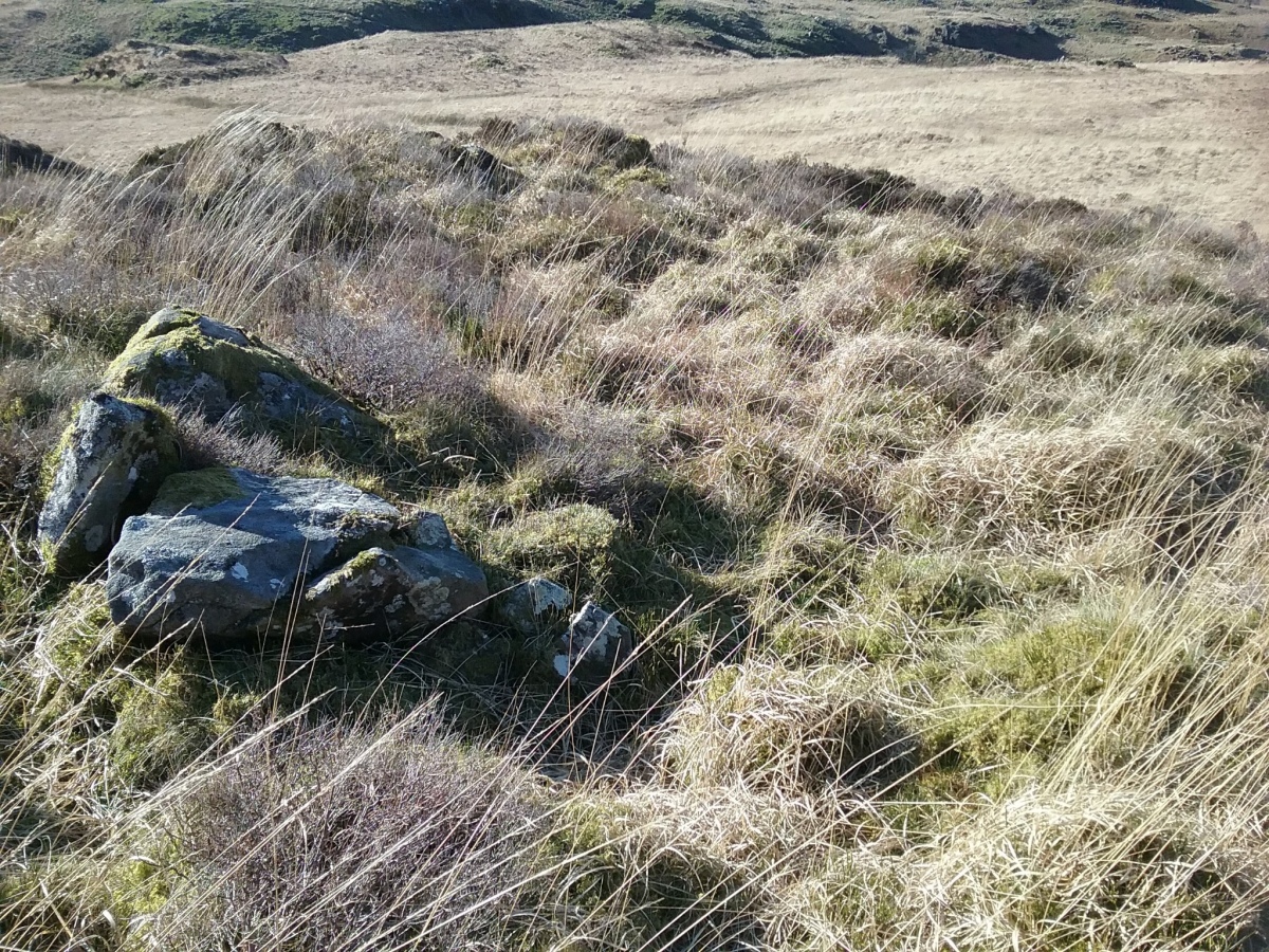 Hut Circle Settlement North of Blaen Nantmor