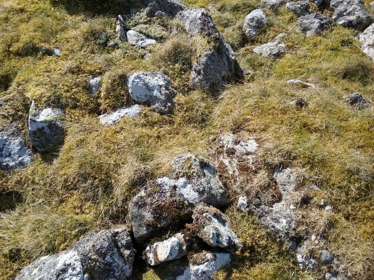 Cairn SE of Bryn Cau