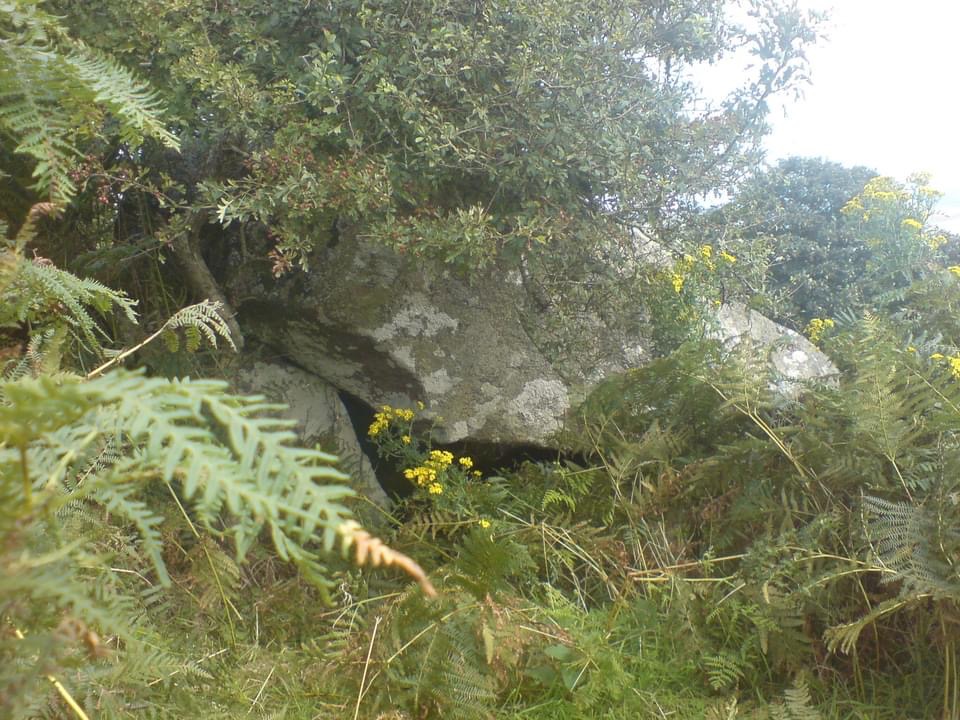 Click for full size image of Tan-Y-Muriau (PID:241811) Tan-Y-Muriau
