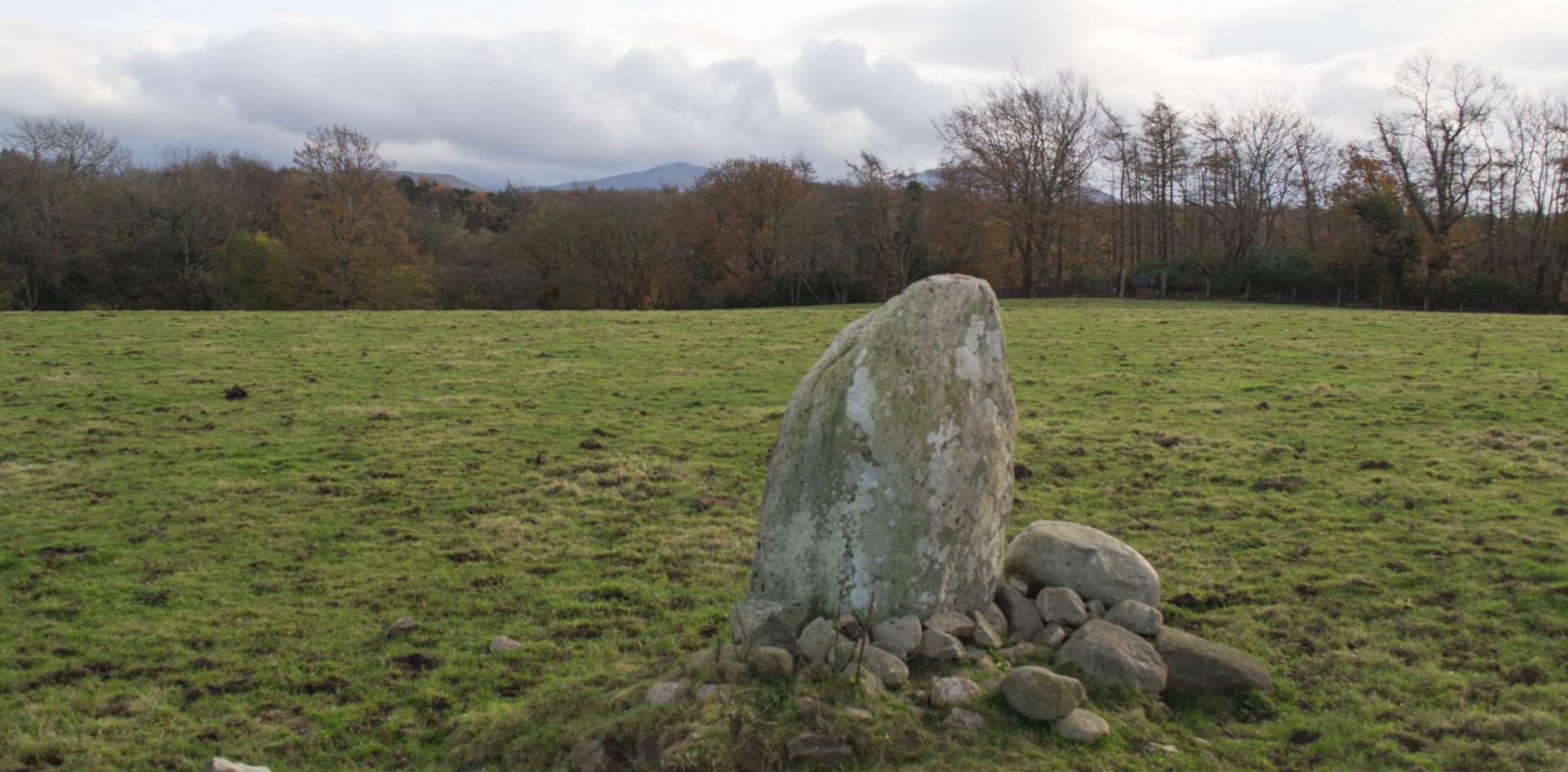 Click for full size image of Cader Elwa Menhir (PID:205665) Cader Elwa Menhir