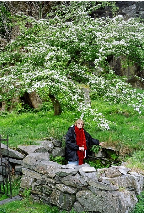 Ffynnon Peris (PID:10690) Ffynnon Peris
