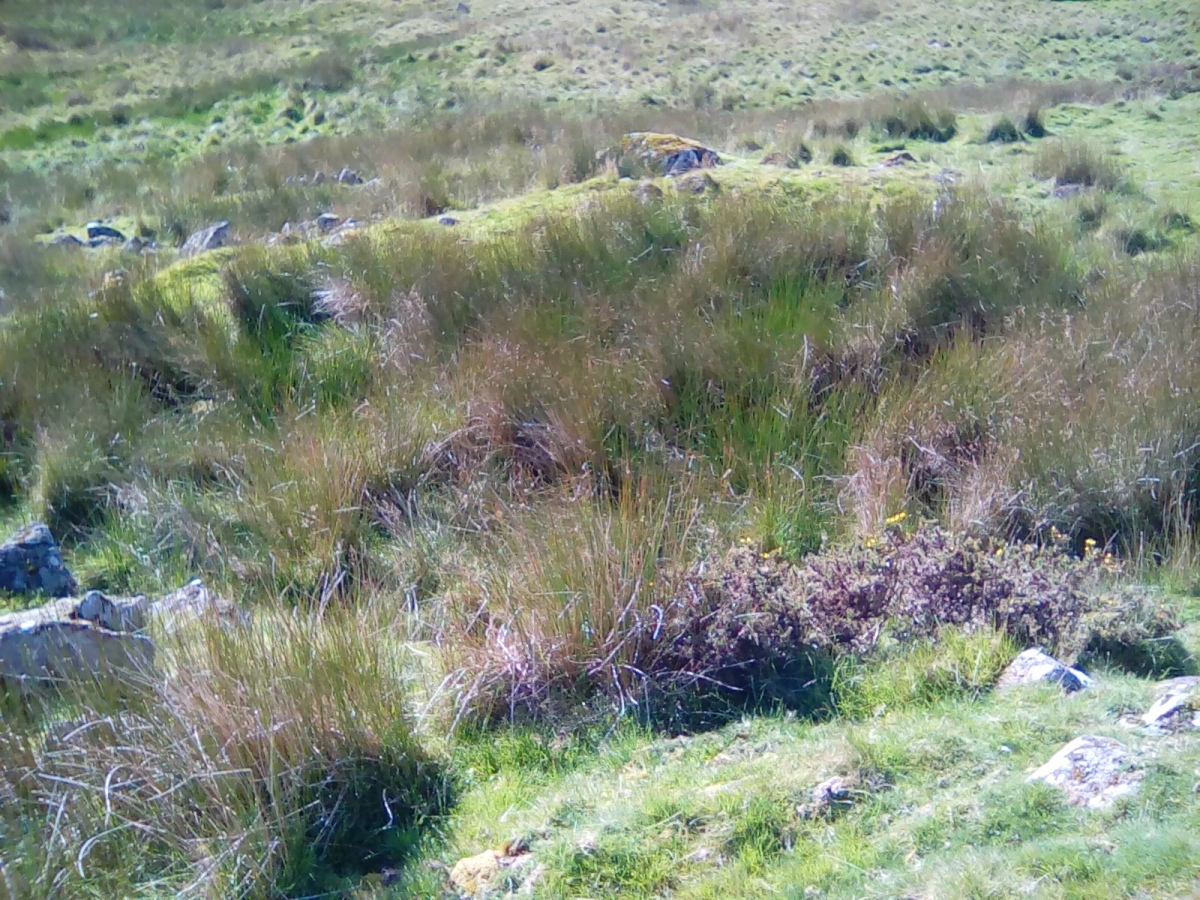 Afon Dyfrdwy (River Dee) Settlement