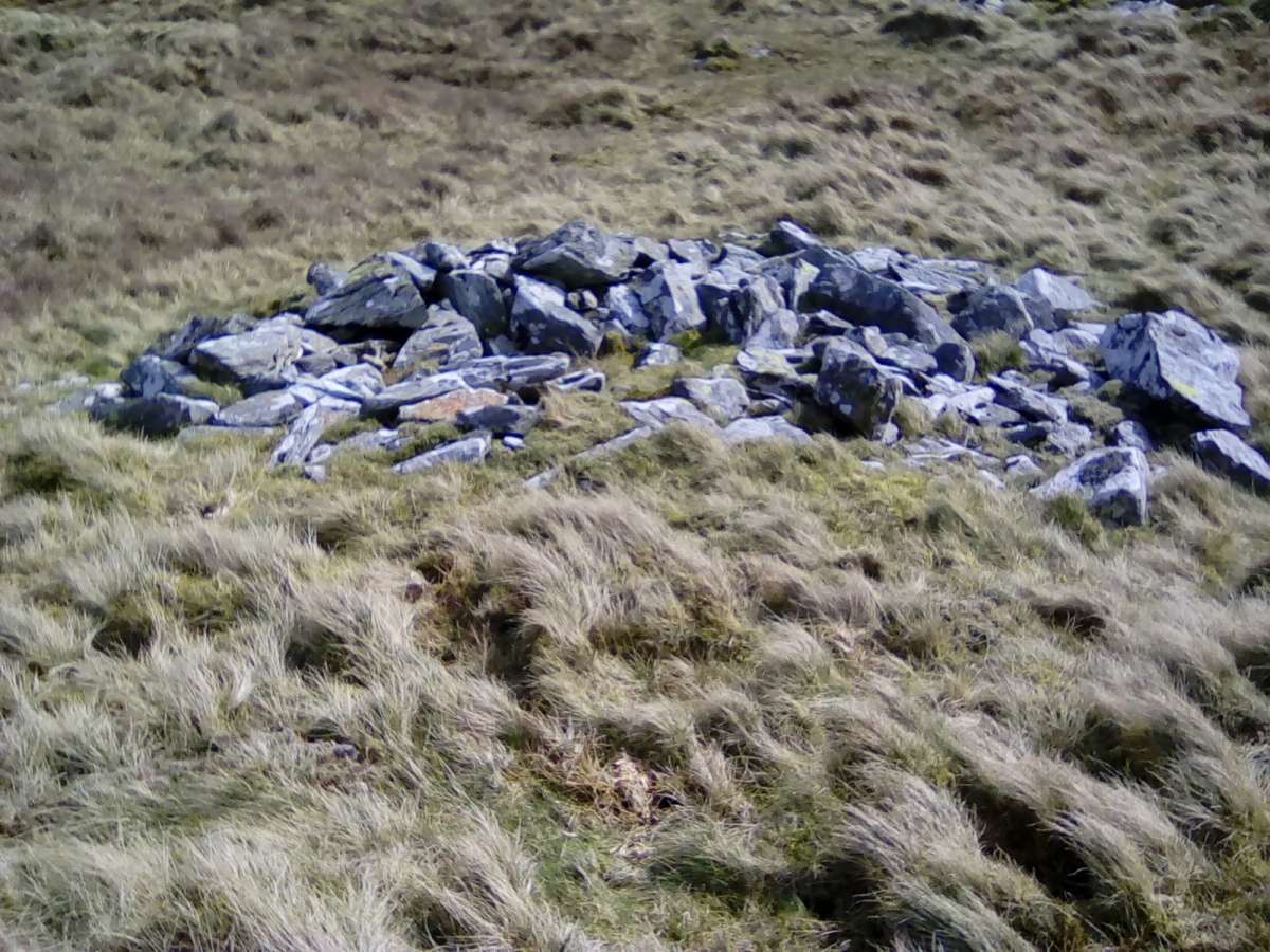 Cairn and cist south of Craig Y Gwynt