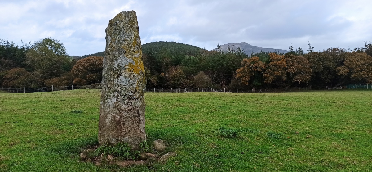Click for full size image of Madryn Castle Standing Stone (PID:250393) Madryn Castle Standing Stone