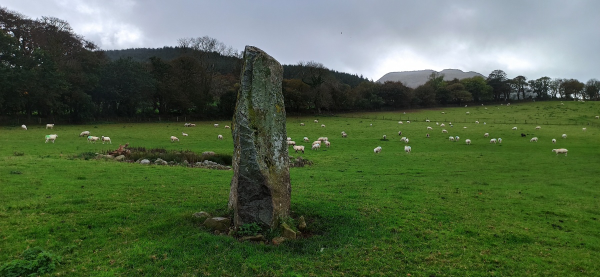 Click for full size image of Madryn Castle Standing Stone (PID:250394) Madryn Castle Standing Stone
