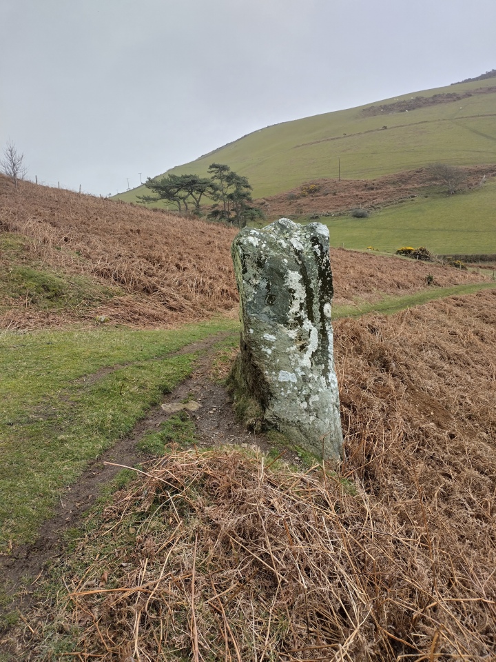 Llanfendigaid Stone