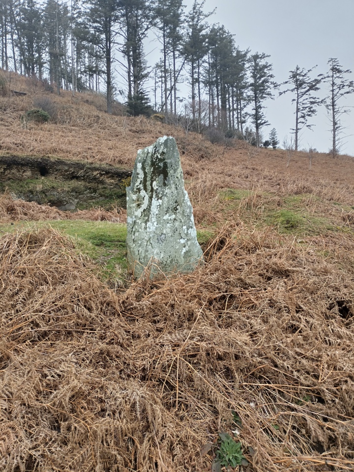 Click for full size image of Llanfendigaid Stone (PID:255364) Llanfendigaid Stone