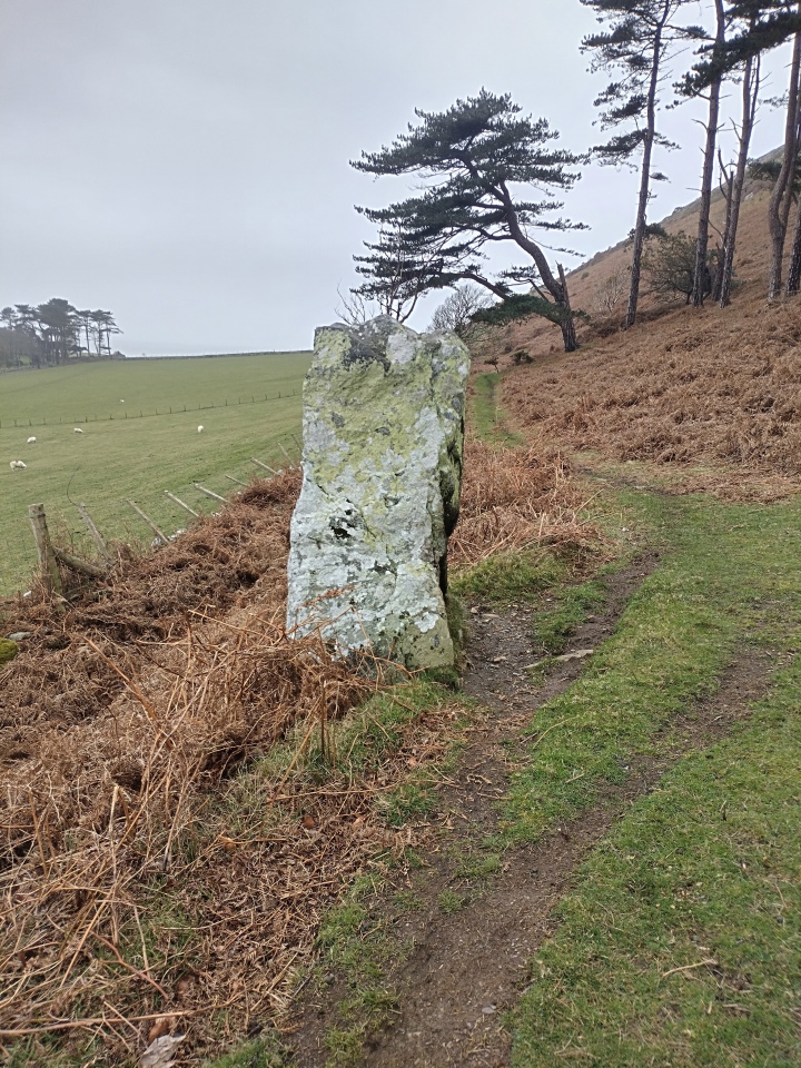 Click for full size image of Llanfendigaid Stone (PID:255365) Llanfendigaid Stone
