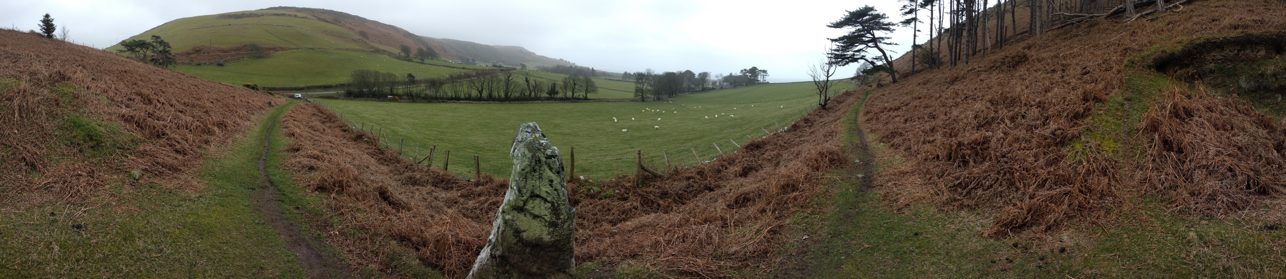 Click for full size image of Llanfendigaid Stone (PID:255366) Llanfendigaid Stone