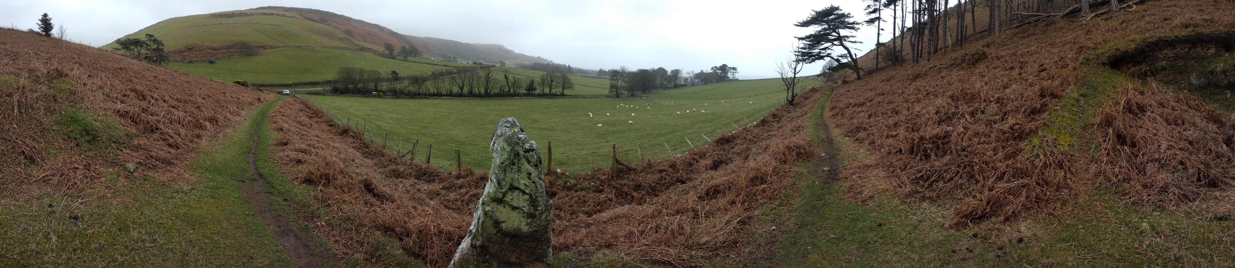 Llanfendigaid Stone