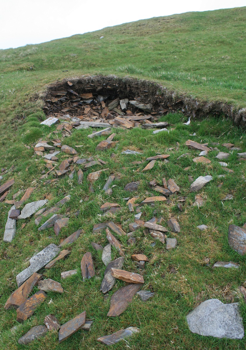 Moel Goedog Hillfort