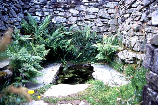 St Celynin's Well