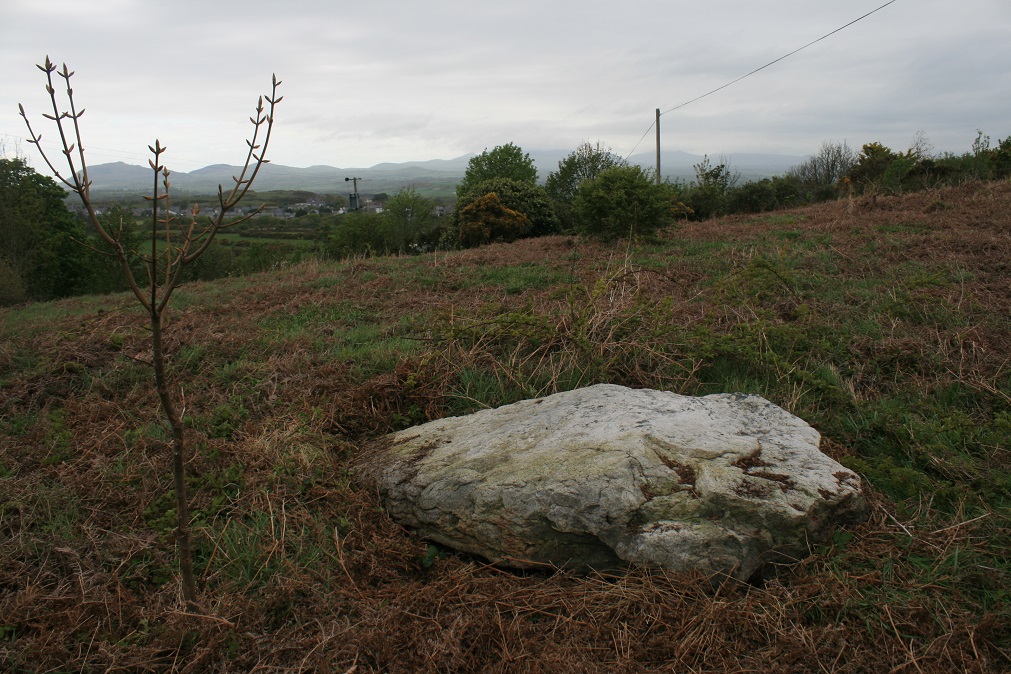 Mynydd Tir-y-Cwmwd