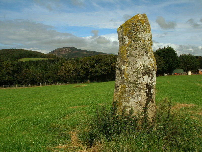 Click for full size image of Madryn Castle Standing Stone (PID:143332) Madryn Castle Standing Stone