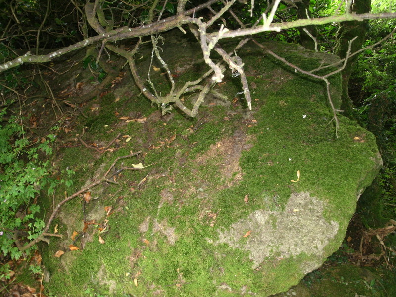 Click for full size image of Sling (Llandegai) (PID:143604) Sling (Llandegai)