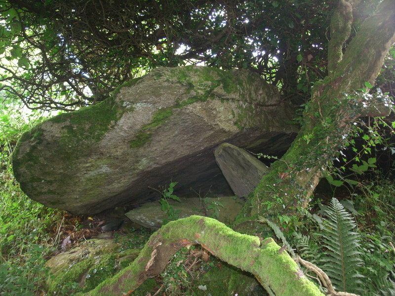 Click for full size image of Sling (Llandegai) (PID:143606) Sling (Llandegai)