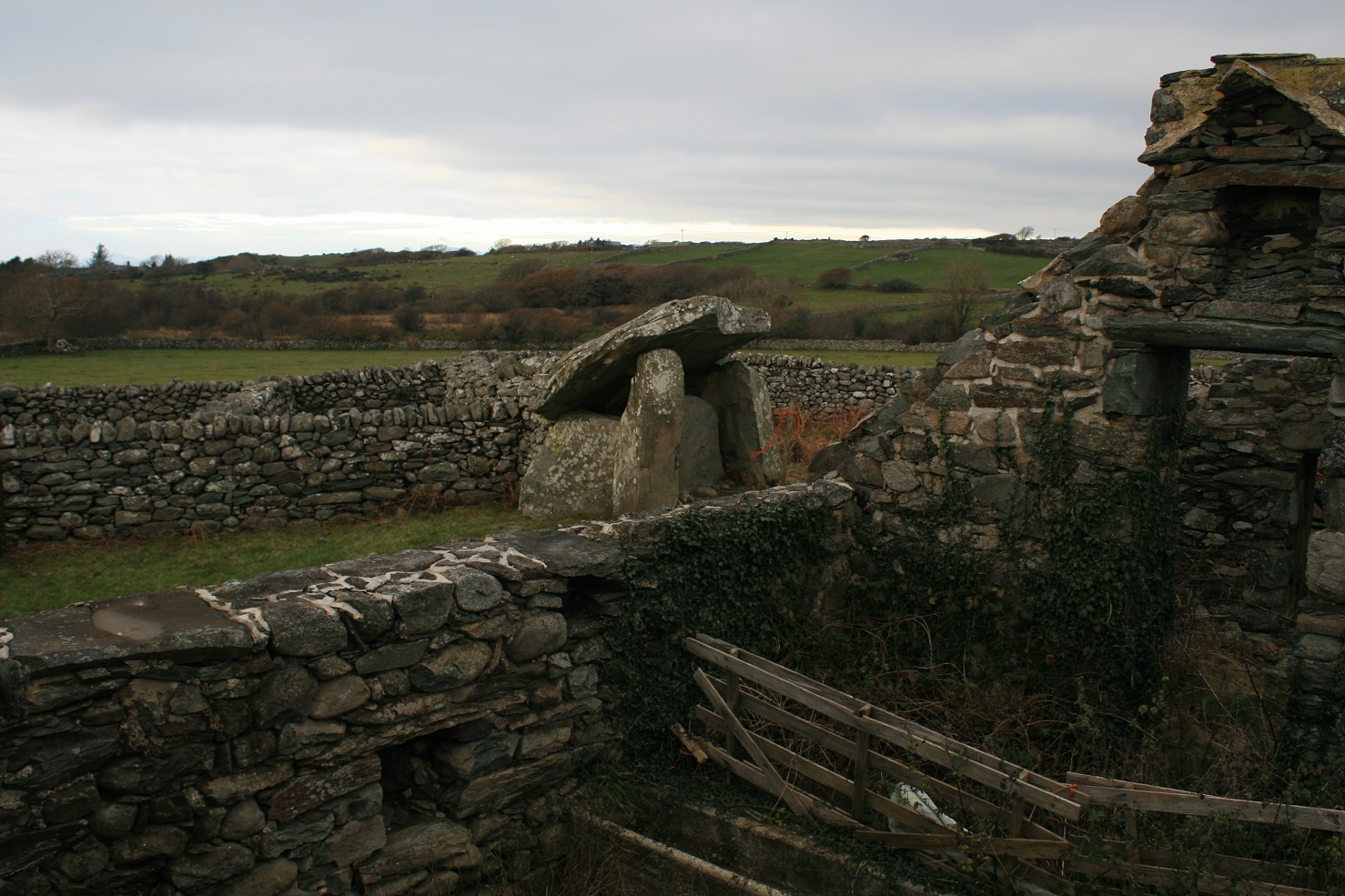 Click for full size image of Gwern Einion (PID:160350) Gwern Einion