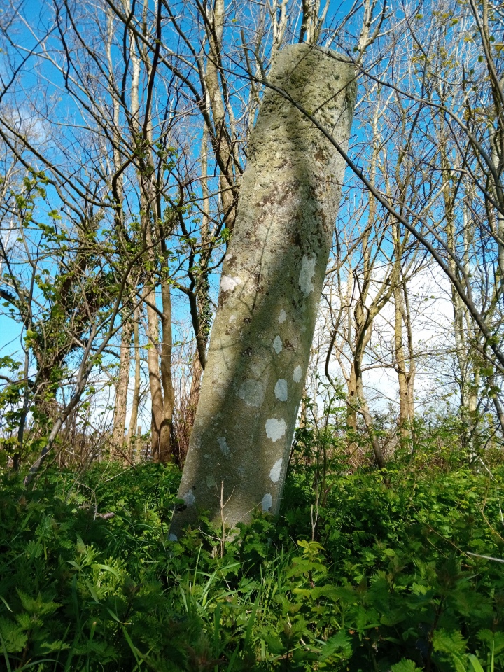 Click for full size image of Croes Faen (PID:271997) Croes Faen