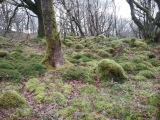 Nurse Cae Du Enclosed Hut Circle Settlement