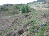 Llyn Ystradau Settlement