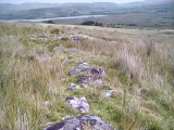 Cefn Clawdd Settlement and Early Field Systems