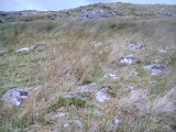 Cefn Clawdd Settlement and Early Field Systems