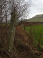 Click for full size image of Croes Faen (PID:220966) Croes Faen