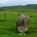 Moel Goedog 3 - PID:27775