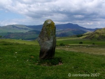 Planwydd Helyg Standing Stone - PID:27786