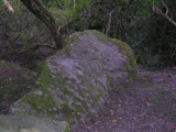 Click for full size image of Sling (Llandegai) (PID:29326) Sling (Llandegai)