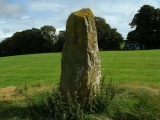 Click for full size image of Madryn Castle Standing Stone (PID:143330) Madryn Castle Standing Stone