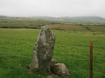 Moel Gwynus - PID:95789