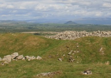 Garn Bentyrch - PID:108655