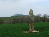 Click for full size image of Madryn Castle Standing Stone (PID:97098) Madryn Castle Standing Stone